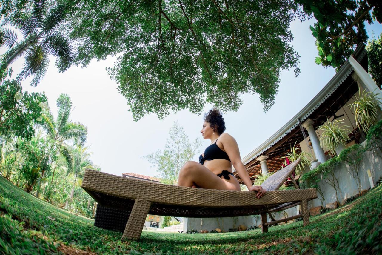 Tropical House - Jungleside Villa Hikkaduwa Zewnętrze zdjęcie